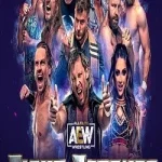 AEW: Fight Forever Switch NSP poster