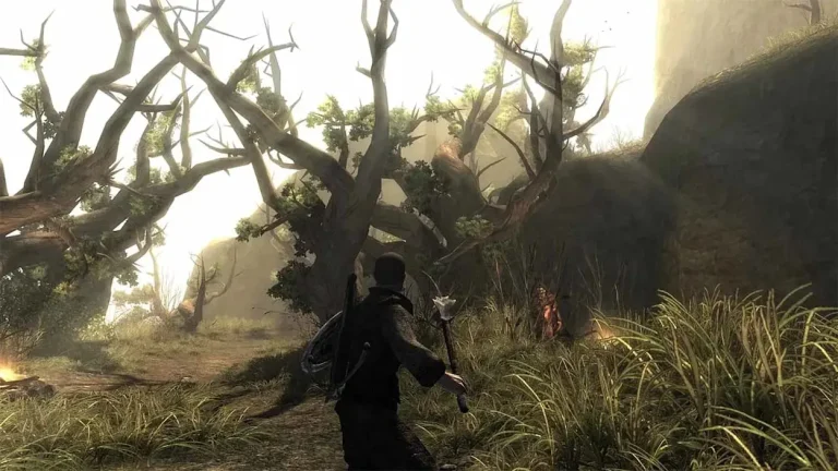 Risen Switch NSP screenshot
